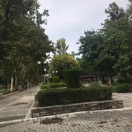 δεν υπάρχει *